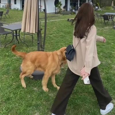 回到黑暗